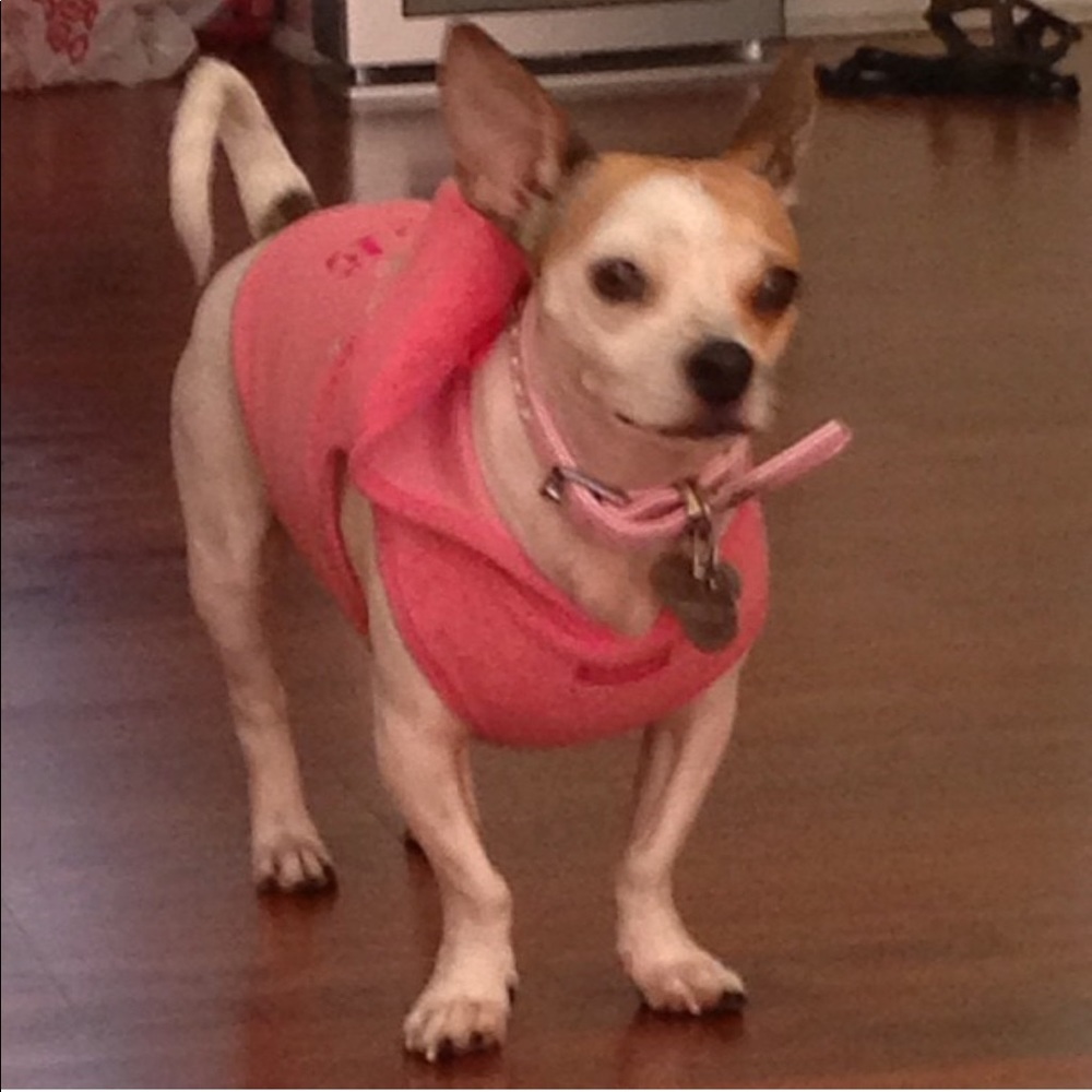Meet Posher, Candy and Bambi of Bambi's Closet!